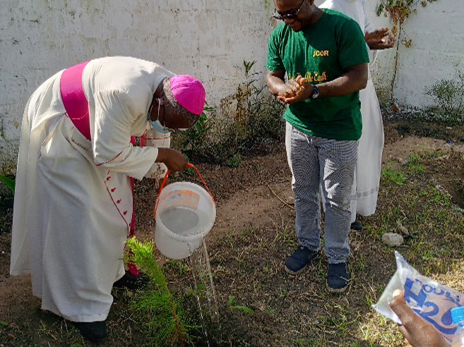 Watering tree