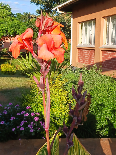 Outside meeting rooms