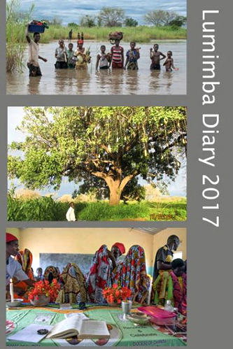 book cover Lumimba Diary 2017
